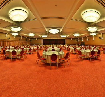 رستوران دلفین